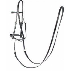 Hackamore Bitless T de T