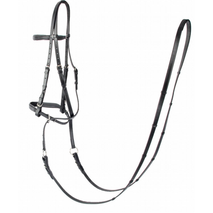 Hackamore Bitless T de T