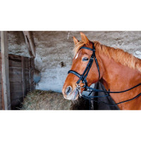 Testiera da doma in cuoio Pollock T de T Nero