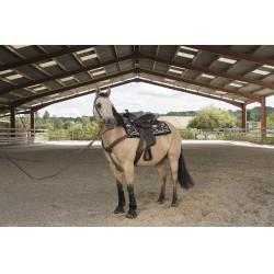 Sella Westride di Franck Perret Arvada Cioccolato Marrone