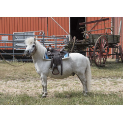 Sella Western Westride Topeka Sella Western Westride Topeka