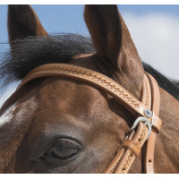 Bridon Westride di Franck Perret Aurora Nocciola Marrone Bridon Westride di Franck Perret Aurora Nocciola Marrone