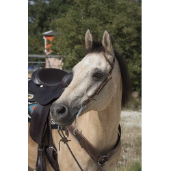 Bridon Westride di Franck Perret 1 orecchio Cioccolato Marrone