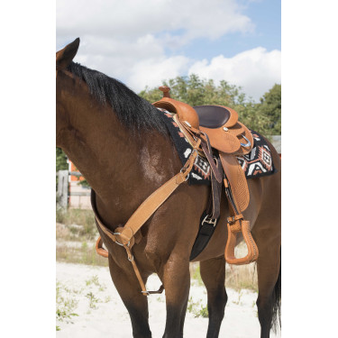 Pettorale Westride by Franck Perret Billy Pettorale Westride by Franck Perret Billy