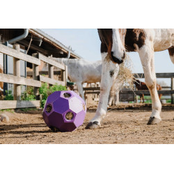 Palla anti-ingozzamento Hippotonic per fieno con fori multipli Viola Palla anti-ingozzamento Hippotonic per fieno con fori multipli Viola