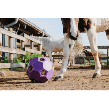 Palla anti-ingozzamento Hippotonic per fieno con fori multipli Palla anti-ingozzamento Hippotonic per fieno con fori multipli
