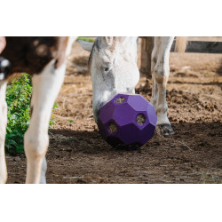 Palla anti-ingozzamento Hippotonic per fieno con fori multipli Viola Palla anti-ingozzamento Hippotonic per fieno con fori multipli Viola