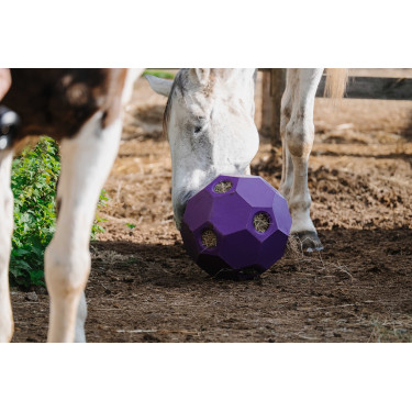 Palla anti-ingozzamento Hippotonic per fieno con fori multipli Palla anti-ingozzamento Hippotonic per fieno con fori multipli