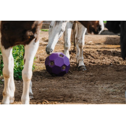 Palla anti-ingozzamento Hippotonic per fieno con fori multipli Viola Palla anti-ingozzamento Hippotonic per fieno con fori multipli Viola