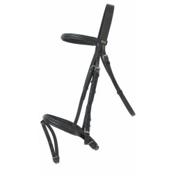 Bridon Sisley T con museruola combinata T di T Bridon Sisley T con museruola combinata T di T