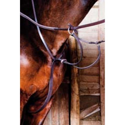 Martingala in cuoio T di T Havana scuro Marrone