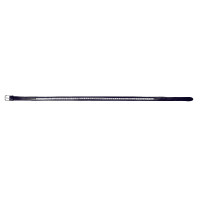Cintura Riding World Diamond Cintura Riding World Diamond