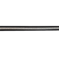 Cintura Riding World Diamond Cintura Riding World Diamond