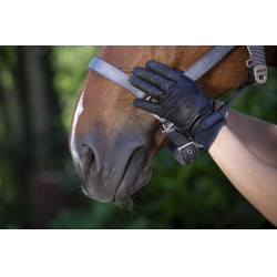 Guanti Equithème Soft in pelle