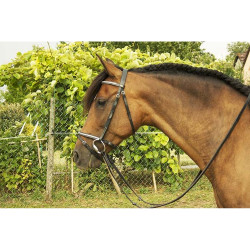 Briglia clincher bianca Goya T de T Briglia clincher bianca Goya T de T