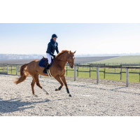 Giacca trapuntata Pro Series Diagonal Blu navy
