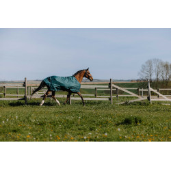 Coperta Equithème TYREX 600D Verde