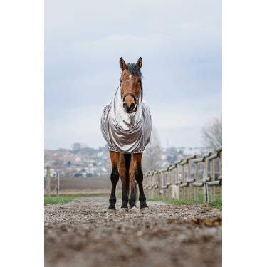 Camicia anti-eczema Riding World Camicia anti-eczema Riding World