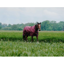 Coperta Equithème TYREX 1200D High Neck Bordeaux