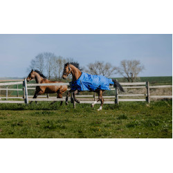 Coperta Equithème Tyrex Aisance 1200D Blu reale Coperta Equithème Tyrex Aisance 1200D Blu reale