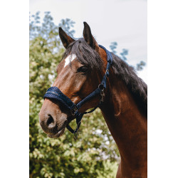 Capestro in nylon Equithème 3D Mesh Marina Blu marino