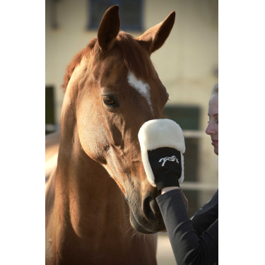 Guanto per la strigliatura Pénélope Nero