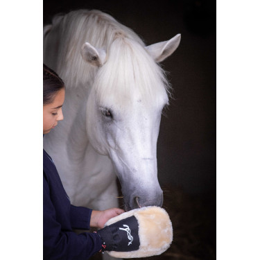 Guanto per la strigliatura Pénélope Nero