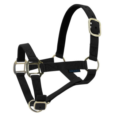 Capestro in nylon foderato in cuoio Norton Nero