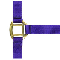 Capestro in nylon foderato in cuoio Norton Nero