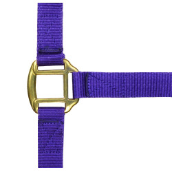 Capestro in nylon foderato in cuoio Norton Viola