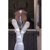 Calzini Equithème Girly Grigio / cielo