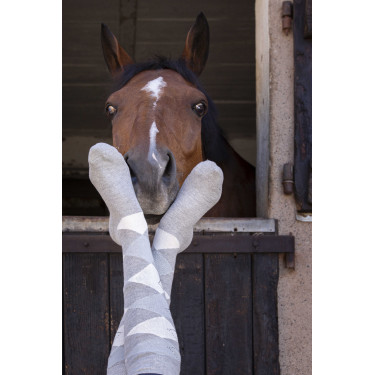 Calzini Equithème Girly Grigio / cielo