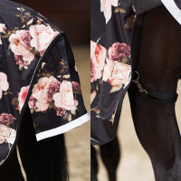 Coperta da paddock Imperial Riding Pandora 100gr Cavallo roccioso DOP Motivi Coperta da paddock Imperial Riding Pandora 100gr Cavallo roccioso DOP Motivi