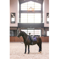 Fasce da polo Imperial Riding Cosmic Sparkle Marina Blu marino