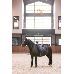 Fasce da polo Imperial Riding Cosmic Sparkle Marina Blu marino