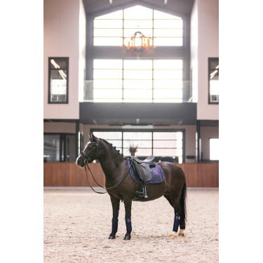 Fasce da polo Imperial Riding Cosmic Sparkle Marina Blu marino