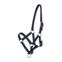 Cavezzone puledro HV Polo Nena Bianco