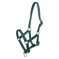 Cavezzone puledro HV Polo Nena Verde petrolio