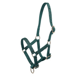 Cavezzone puledro HV Polo Nena Verde petrolio