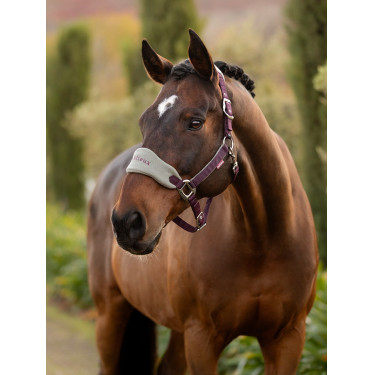 Capestro e lunghina Lemieux Vogue Prugna Viola