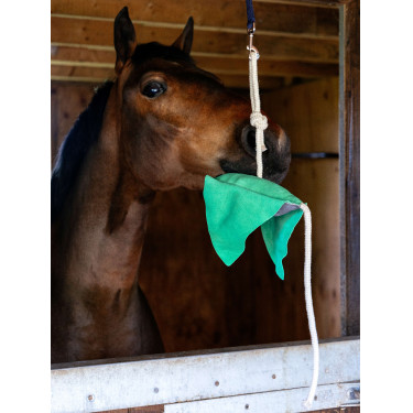 Giocattolo per cavalli LeMieux Riga