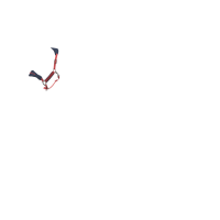 Capestro e lunghina LeMieux Vogue Esme Mirtillo rosso Rosa