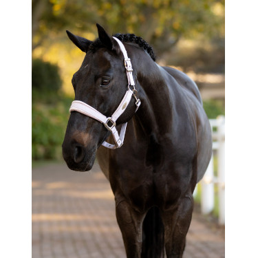 Capezzina LeMieux Versailles Lilla Viola