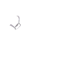 Capezzina LeMieux Versailles Lilla Viola