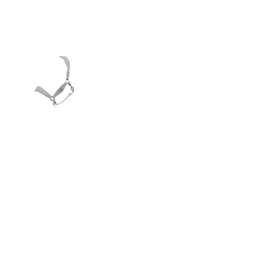 Capezzina LeMieux Versailles Lilla Viola