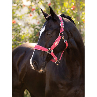 Capezzina LeMieux Versailles Mirtillo rosso Rosa