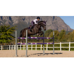 Sottosella LeMieux Loire Close Contact Square CSO Ginepro Viola