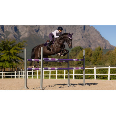 Sottosella LeMieux Loire Close Contact Square CSO Ginepro Viola