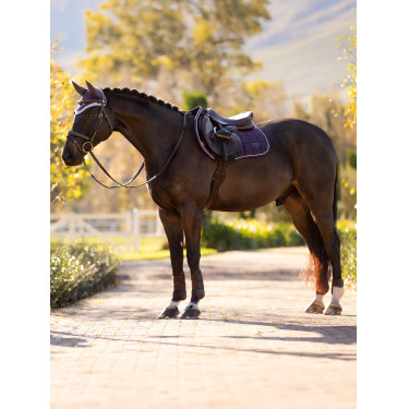 Sottosella LeMieux Loire Close Contact Square CSO Ginepro Viola