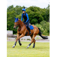 Sottosella LeMieux Loire Close Contact Square CSO Benetton Blu Sottosella LeMieux Loire Close Contact Square CSO Benetton Blu